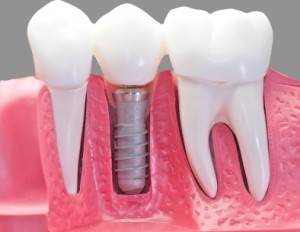 Orhodental Center