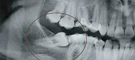 Orhodental Center