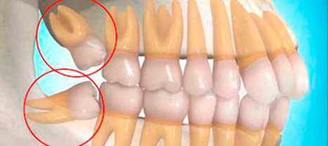 Orhodental Center
