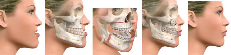 Orhodental Center