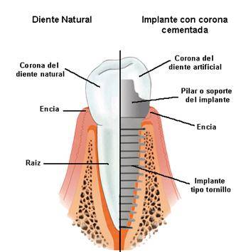 Orhodental Center