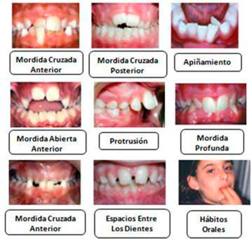 Orhodental Center