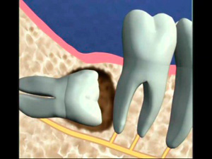 Orthodental